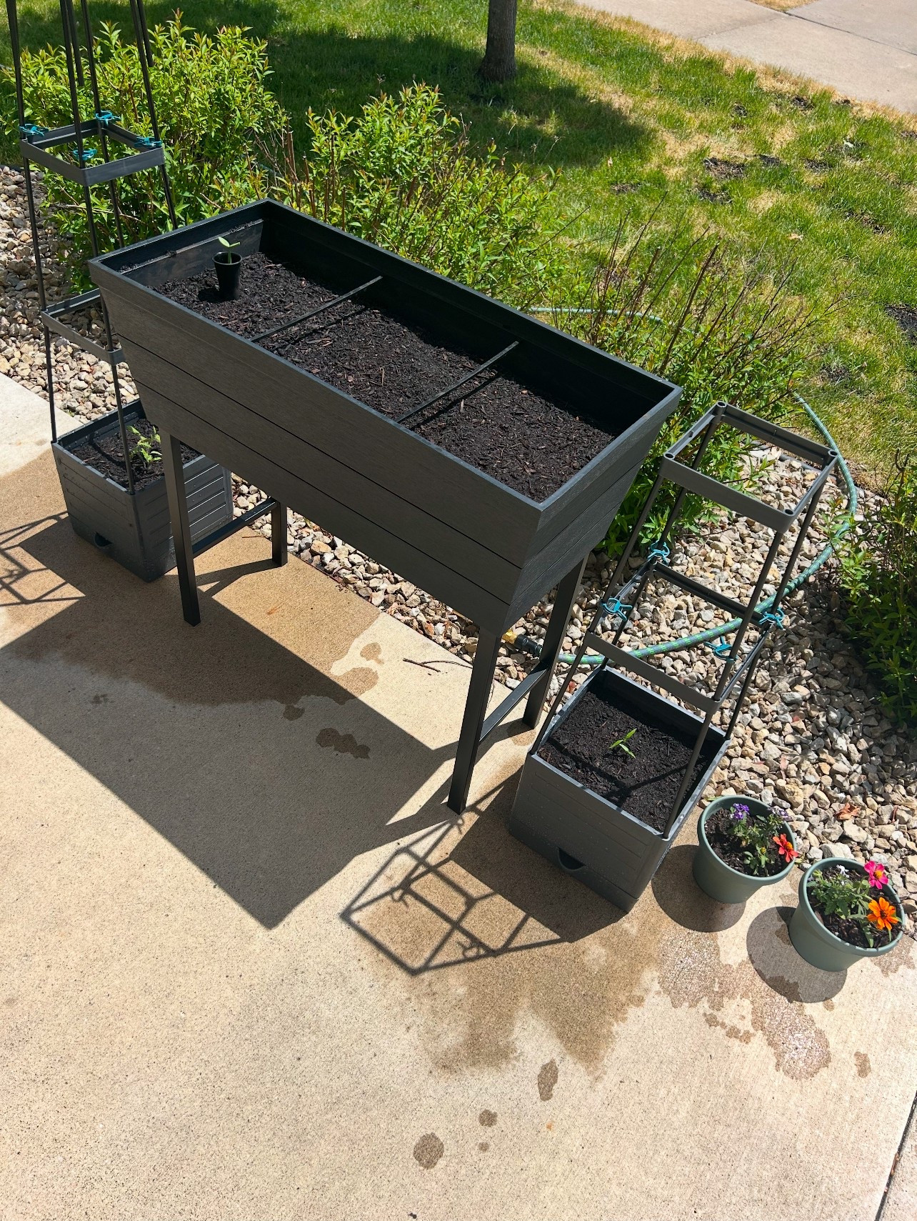 Gardening used to feel like just another thing on my to-do list… until I found these three things that actually made it fun 🌿

🌱 Raised beds with self-watering so I don’t have to stress about forgetting to water
🍅 A trellis that keeps my wild tomato plants standing tall
📏 A handy tool that tells me exactly where to plant so I don’t waste seeds

It’s not perfect, but it’s working — and the kids love helping! If you’re feeling overwhelmed and want to start your own garden, save this for later 💚

#LTKgarden #gardeningwithkids #selfwateringplanter #lowtoxliving #stayathomemomlife #simplejoys

#LTKSeasonal #LTKFindsUnder100 #LTKHome