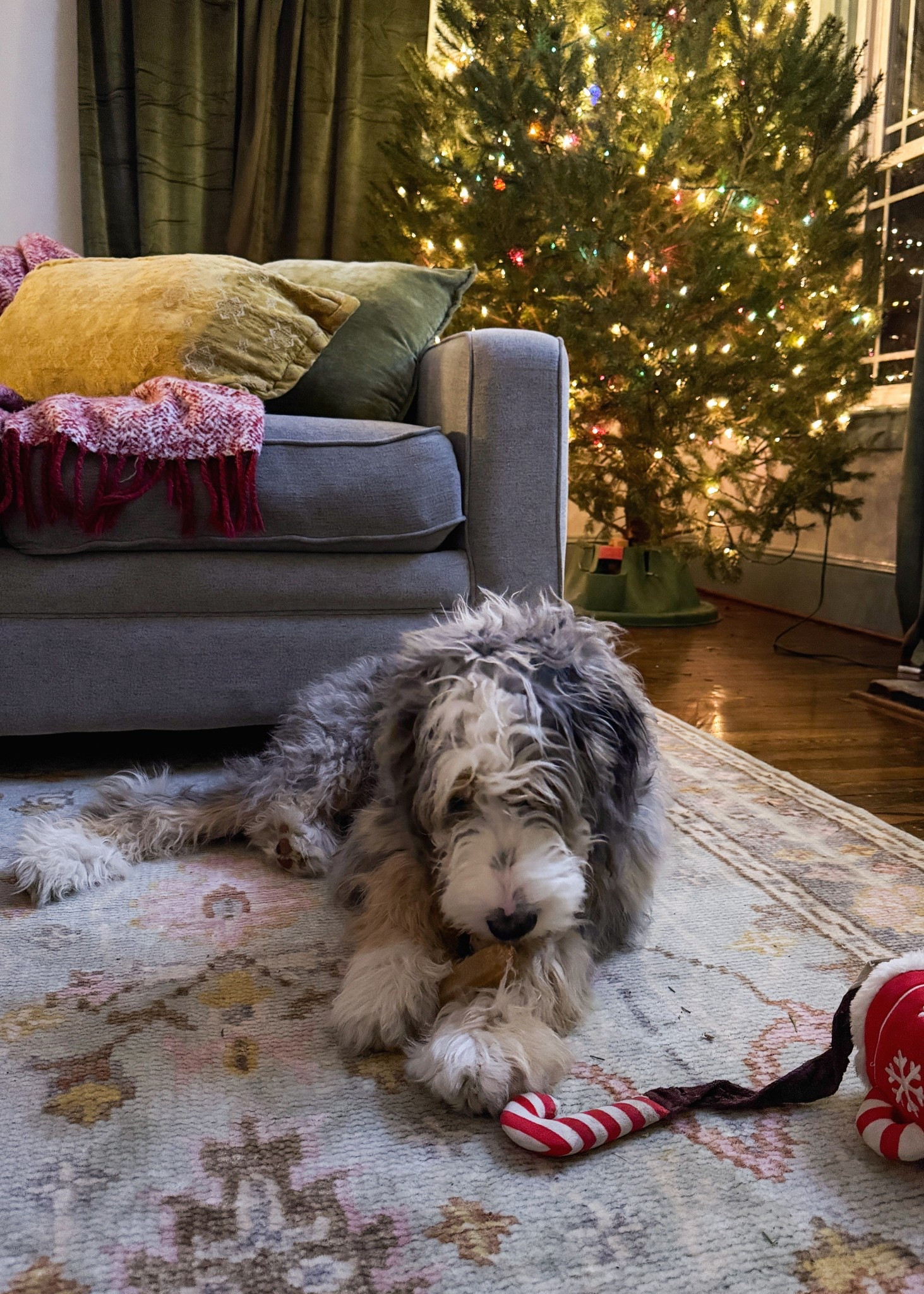 Hi Birdie 🥰 The prettiest girl on the prettiest (washable because the girl is messy) rug! 

#LTKHome #LTKmomlife #LTKHoliday