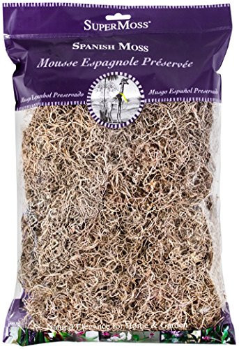 SuperMoss (26911) Spanish Moss Dried, Natural, 8 Ounces | Amazon (US)