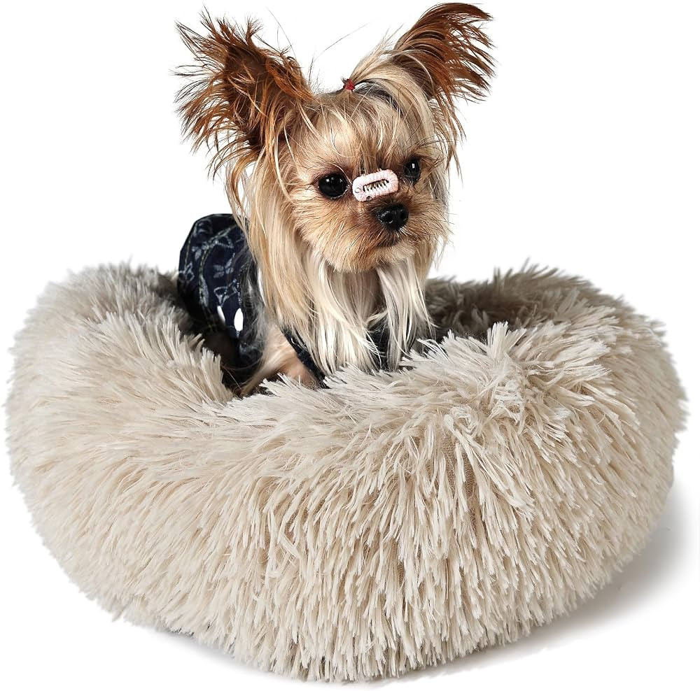 Tiny Dog Bed Extra Small Washable 15 inches Beige Donut Soft Small Dog Bed,Calming Anti Anxiety R... | Amazon (US)