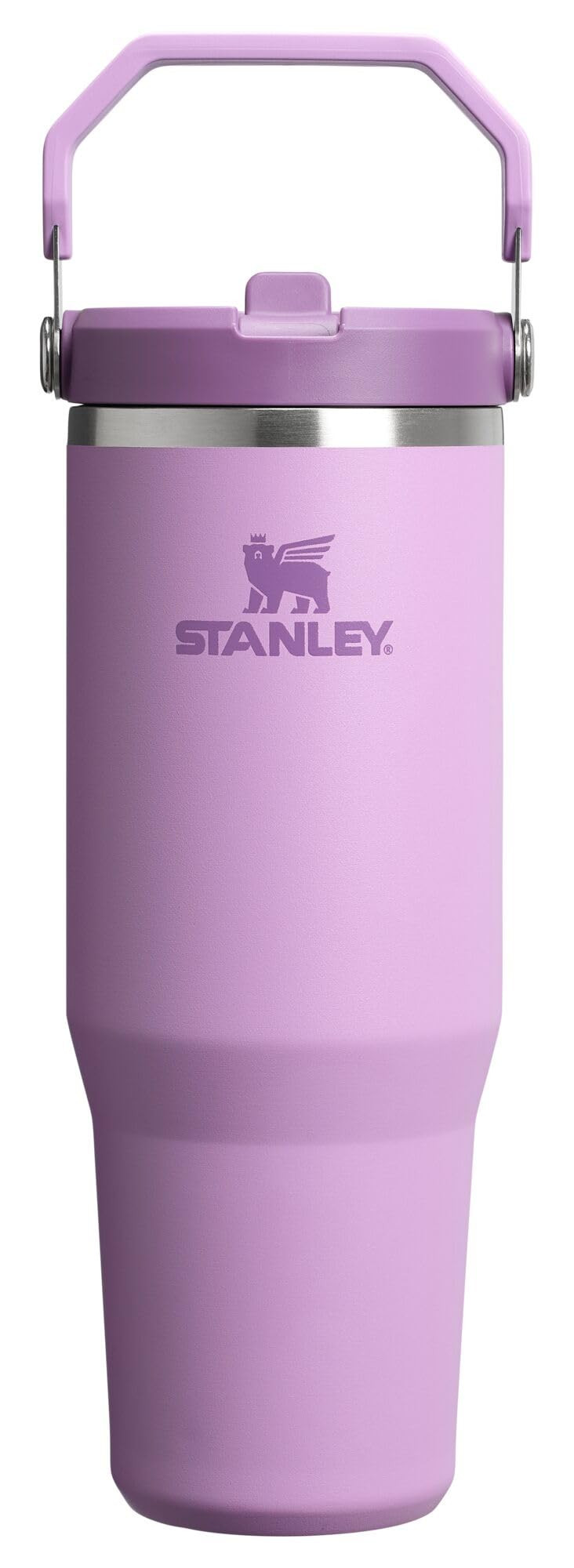 Stanley IceFlow 2.0 Flip Straw Tumbler with Handle 30 oz | Twist On Lid and Flip Up Straw | Leak ... | Amazon (US)