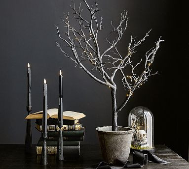 Faux Lit Black Potted Tree | Pottery Barn (US)