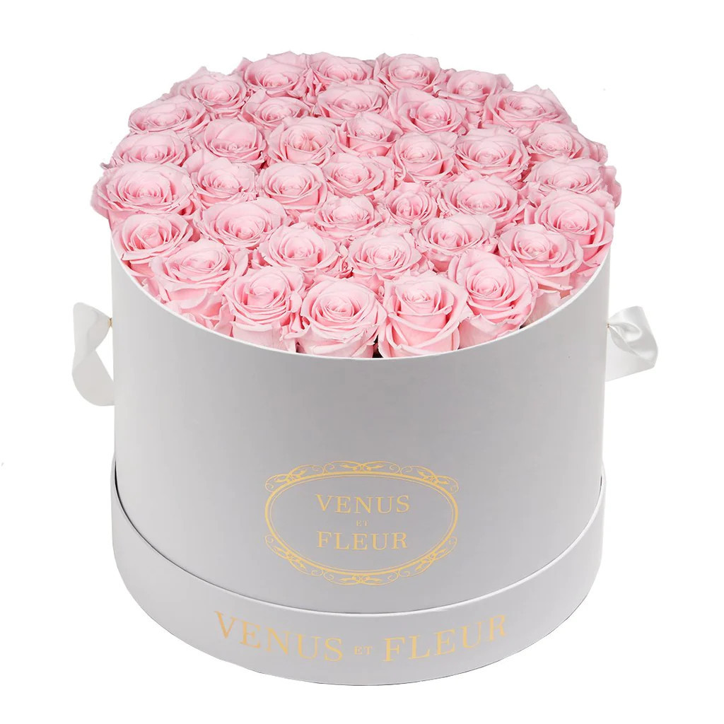 Large Round | Venus ET Fleur