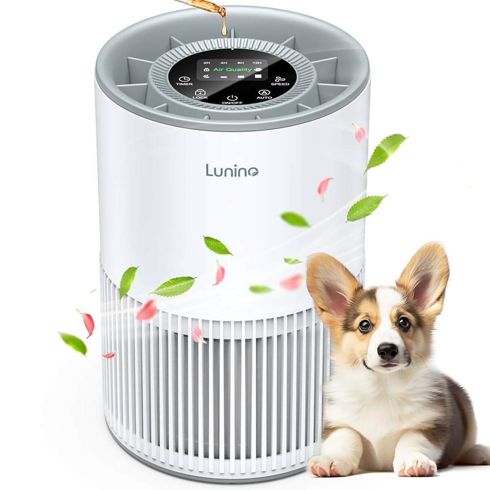 Air Purifiers for Home Large Room up to 1200ft², LUNINO H13 True HEPA Air Purifier for Bedroom w... | Amazon (US)