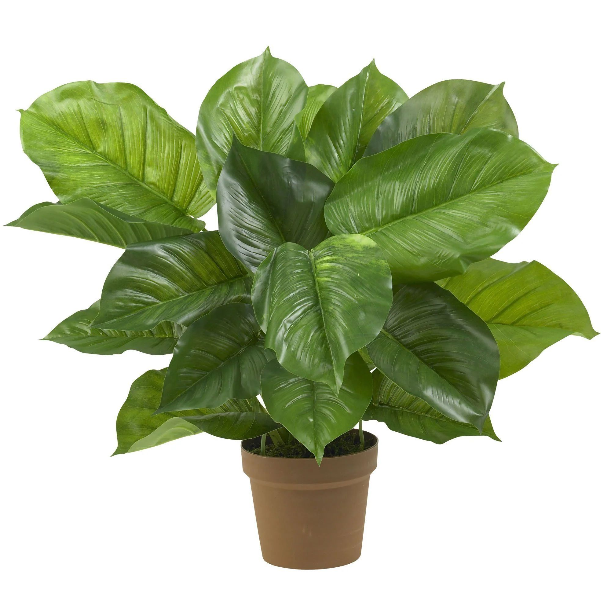 Large Leaf Philodendron Silk Plant (Real Touch) | Nearly Natural