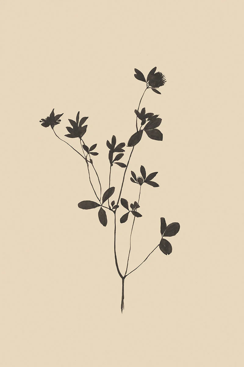 Forage I | Juniper Print Shop