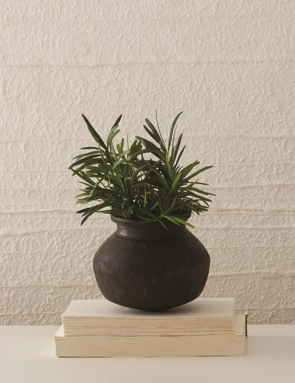 Benji Pot | Lulu and Georgia 