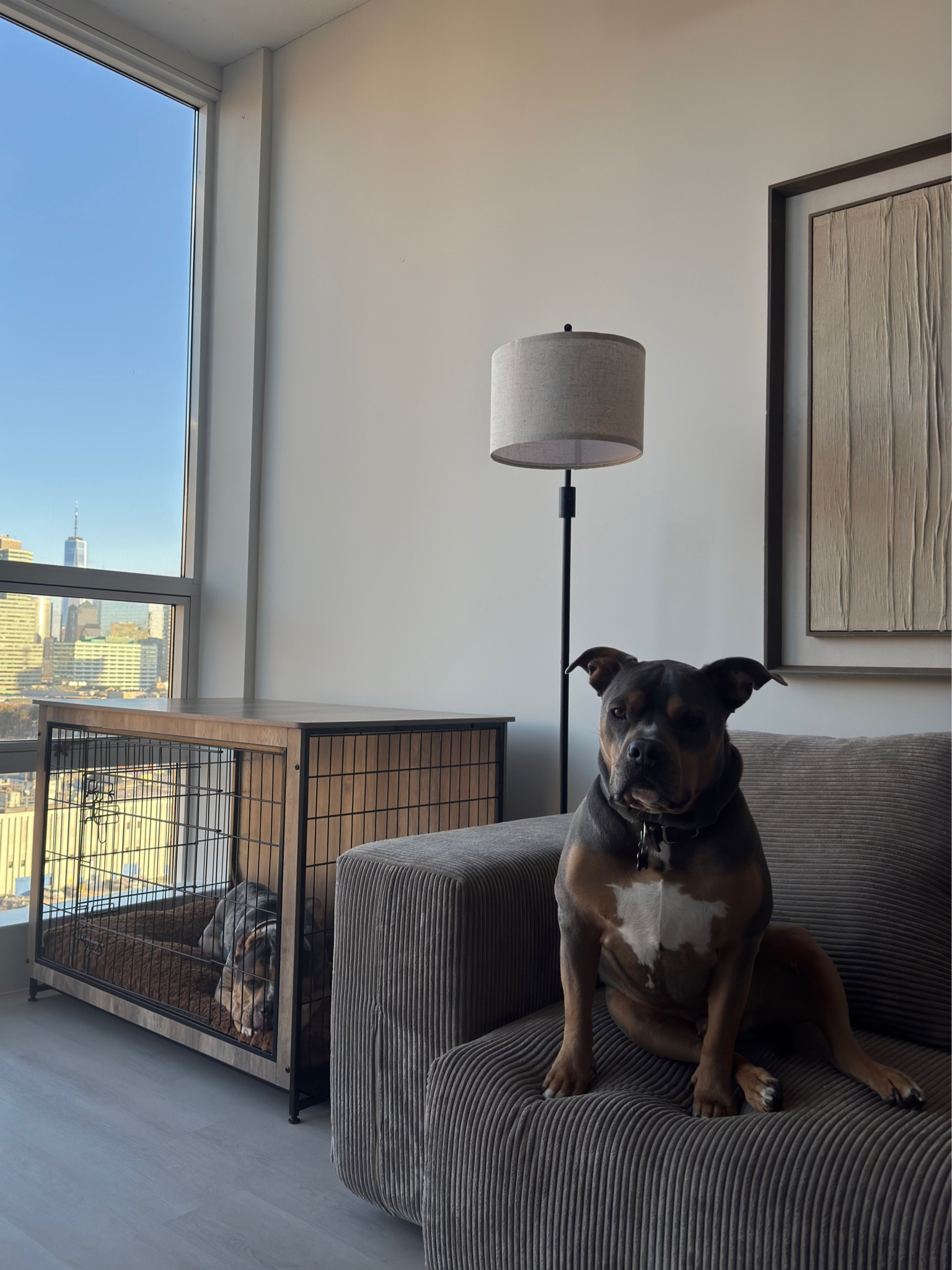 Dog crate but make it aesthetic to your home 🐾 🤍