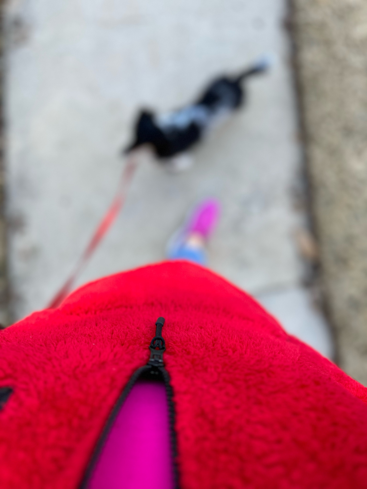 In the Valentine’s Day Outfit mood for today’s dog walk...

#LTKSeasonal #LTKstyletip #LTKfindsunder50