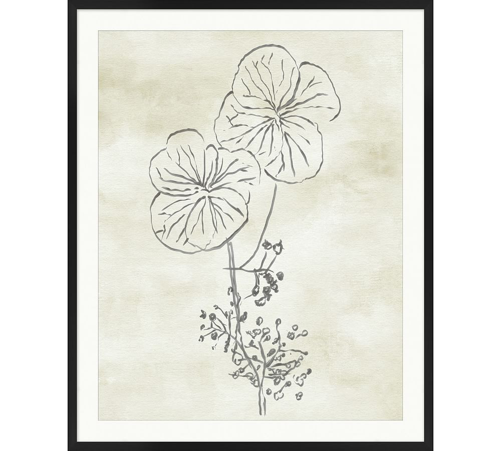 Blooming Sketch 5 Framed Print | Pottery Barn (US)