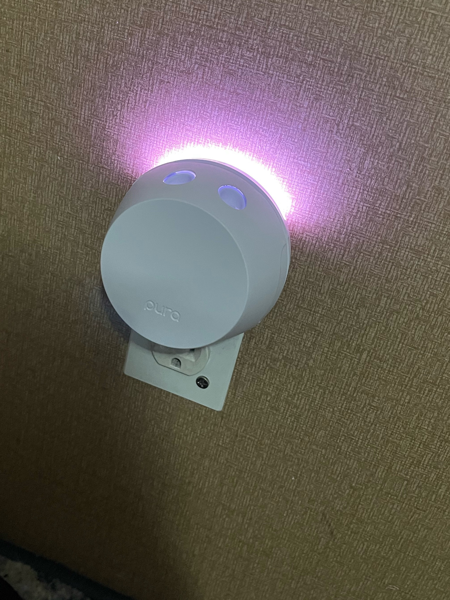 OMG I love pura 💞💞

#LTKSeasonal #LTKFallSale #LTKFindsUnder50