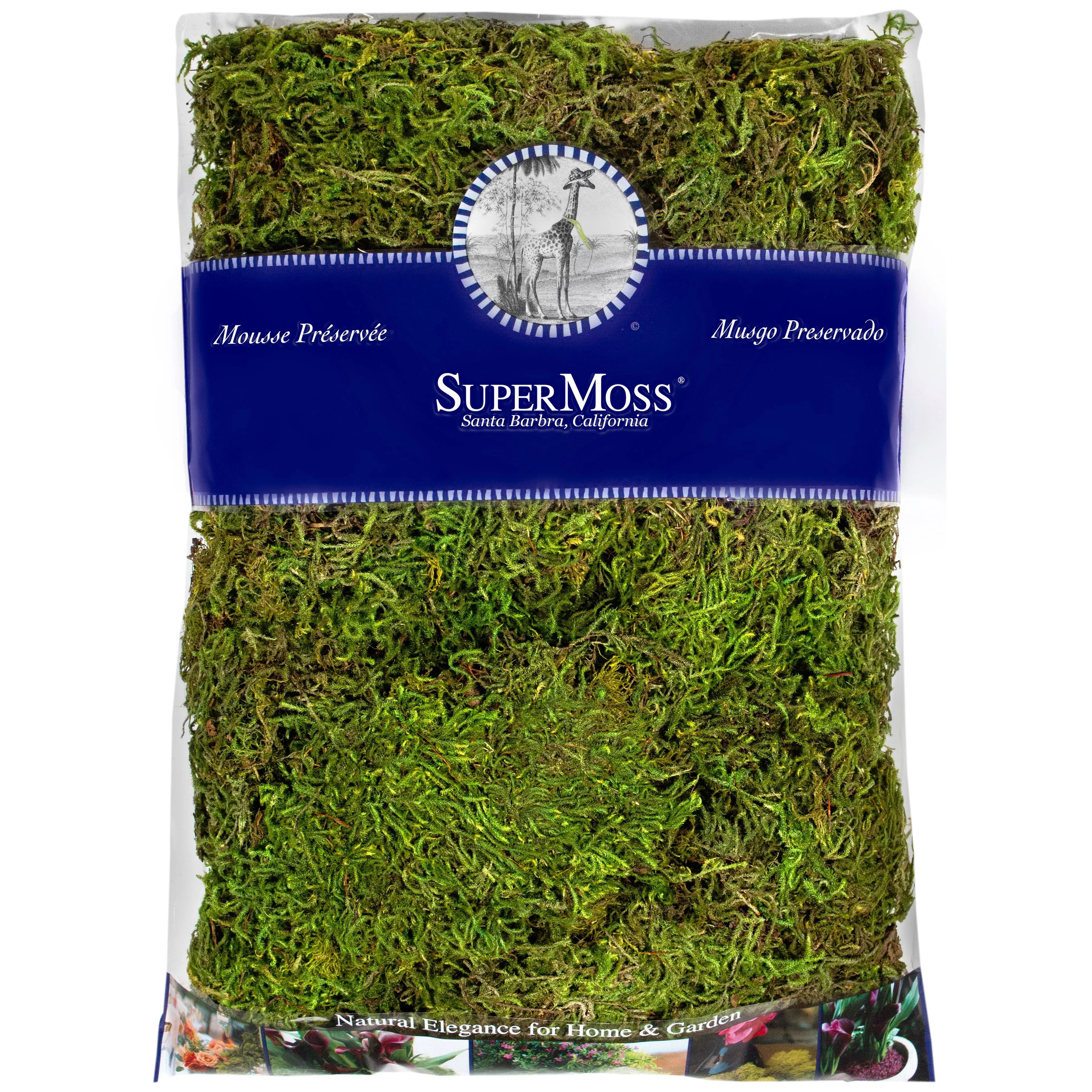 SuperMoss® Preserved Forest Moss - Walmart.com | Walmart (US)