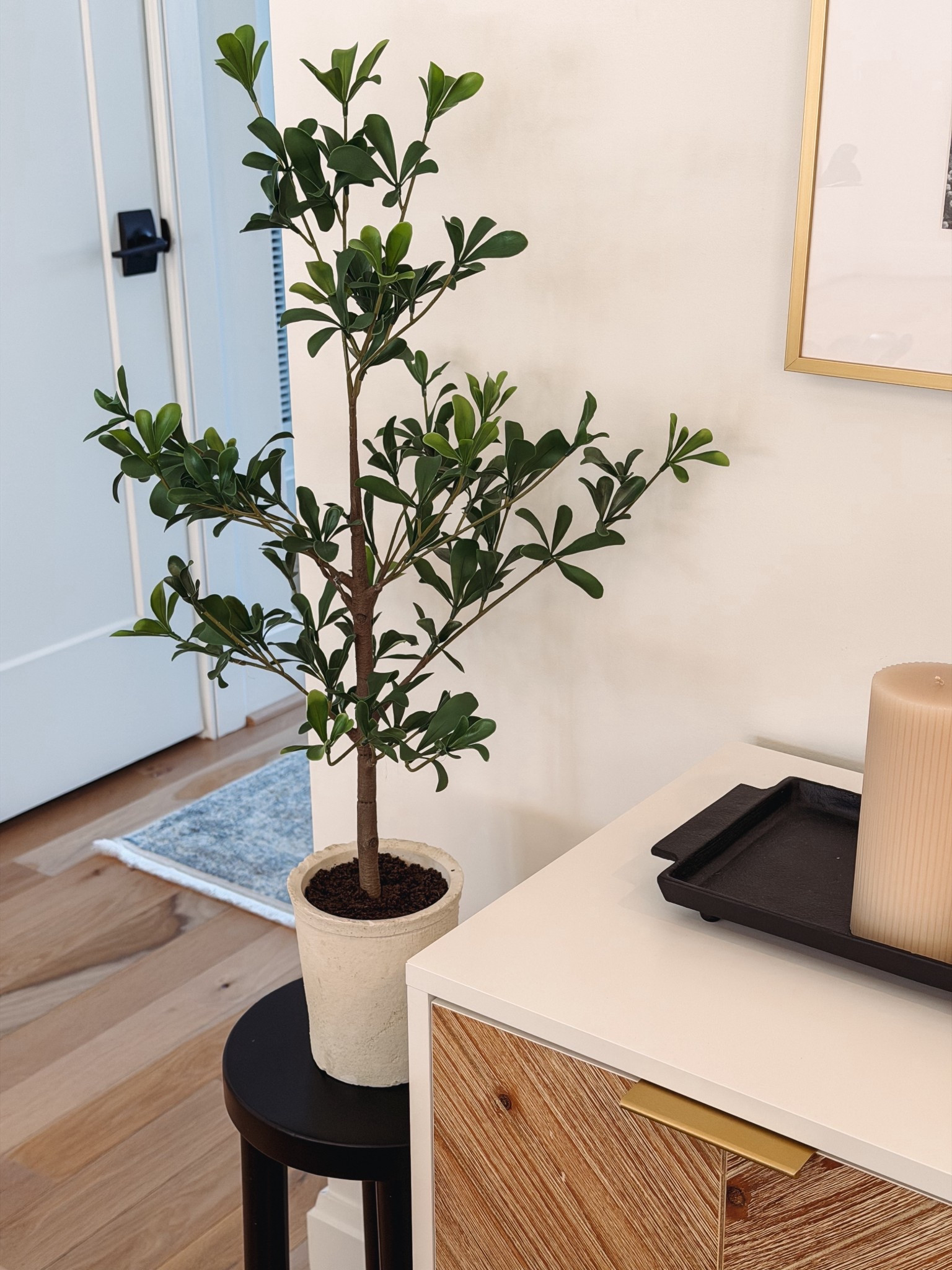 Hearth and Hand black olive tree, olive plant, spring greenery 

#LTKHome