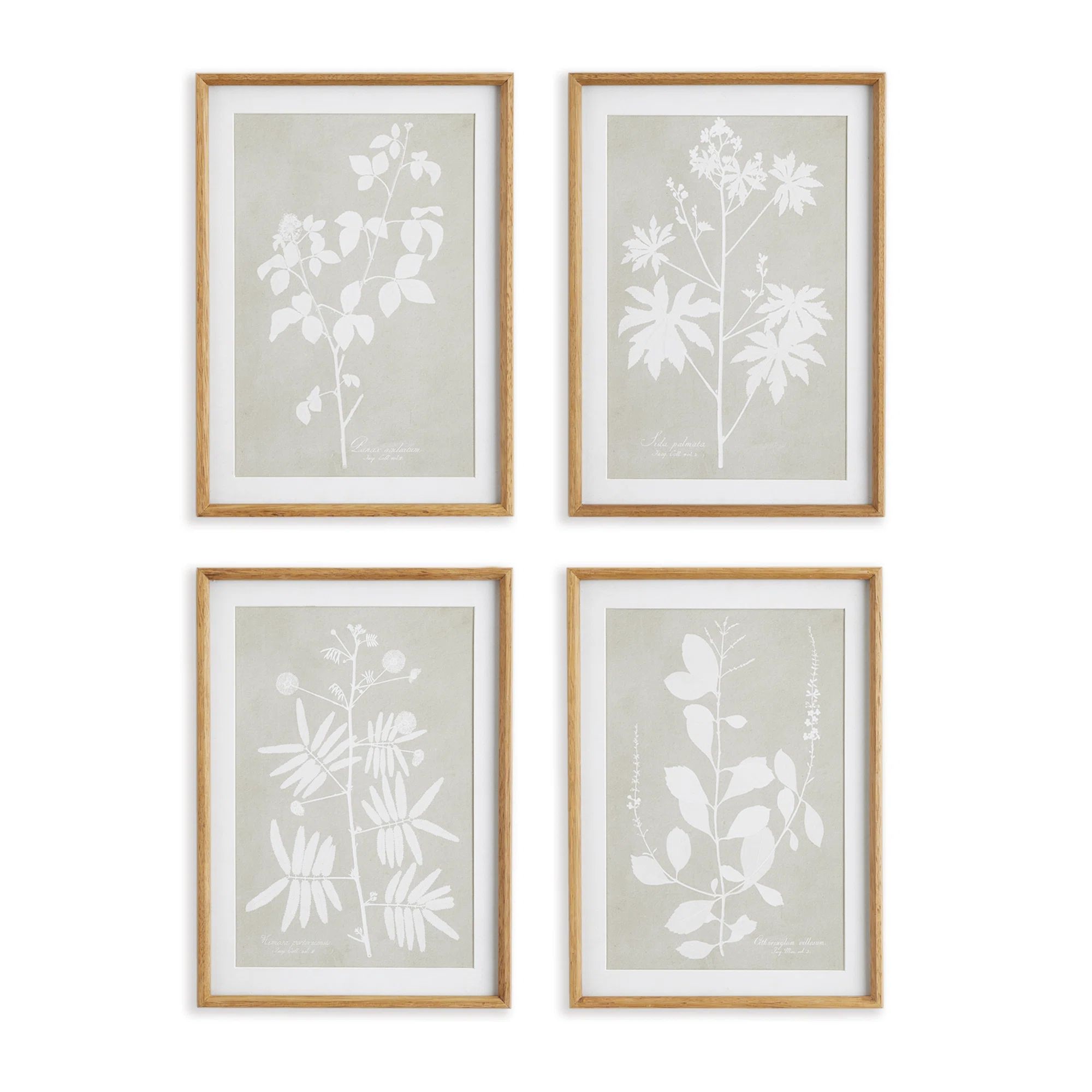 Birch Lane™ " Foliage " 4 - Pieces & Reviews | Wayfair | Wayfair North America