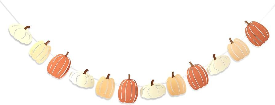 Little Pumpkin Birthday Banner - Pumpkin Decorations, Fall Wall Decor for Classroom, Halloween Pa... | Amazon (US)