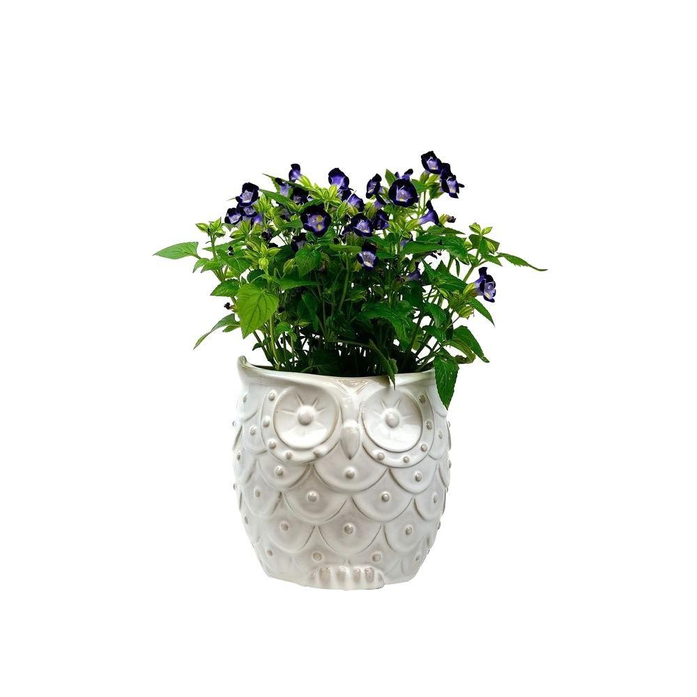 7.25 in. White Ceramic Owl | The Home Depot