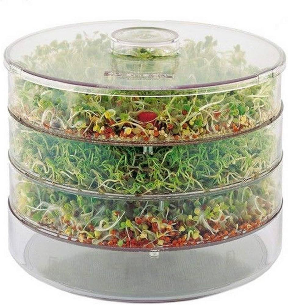 DECOCRAFT THREE LEVELS SEED SPROUTER GERMINATOR FOR BEANS & SEEDS/Healthy, Organic Sprouts | Amazon (UK)
