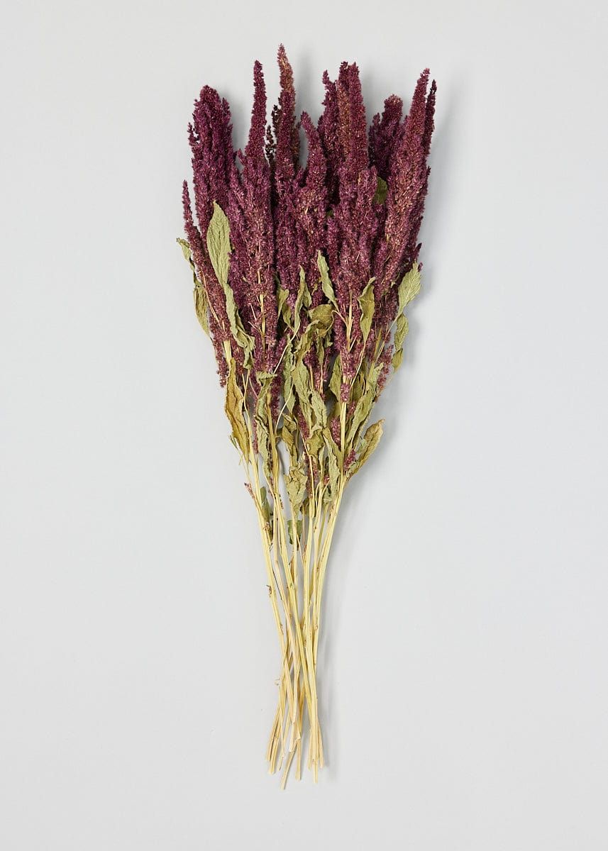 Red Amaranthus Bundle | Sustainable Dried Flowers at Afloral.com | Afloral