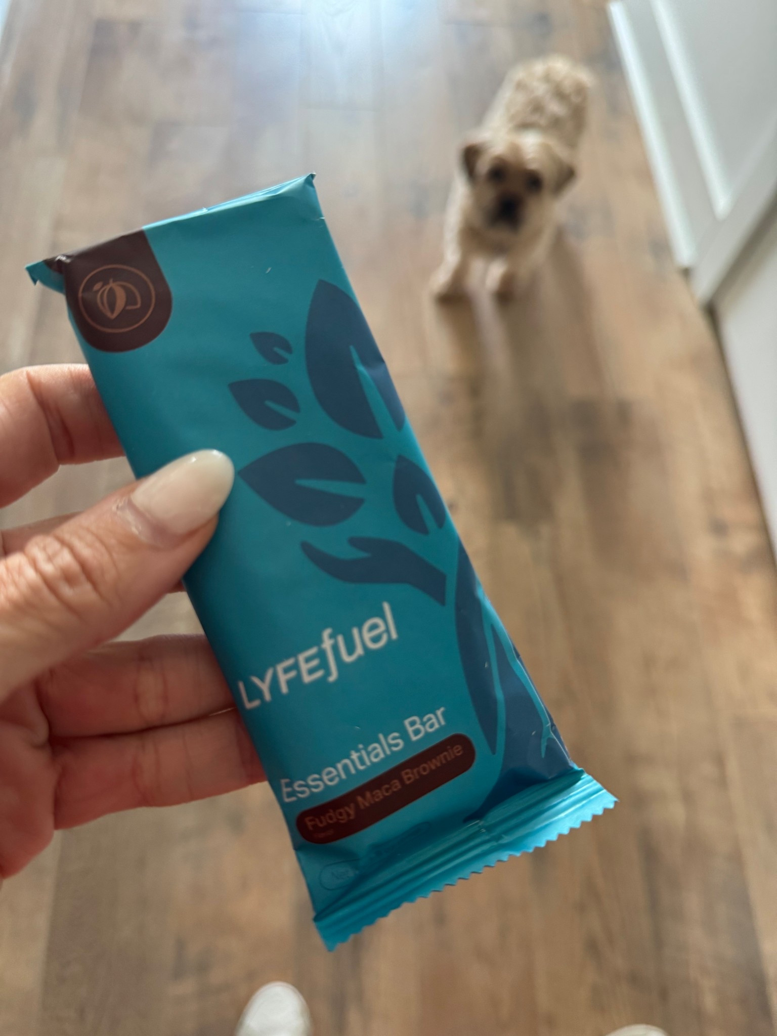 These vegan protein bars are super tasty! 
Nice flavor and texture. 
Perfect for when you're in a rush and need something quick but filling. 

#LTKActive #LTKTravel #LTKOver40