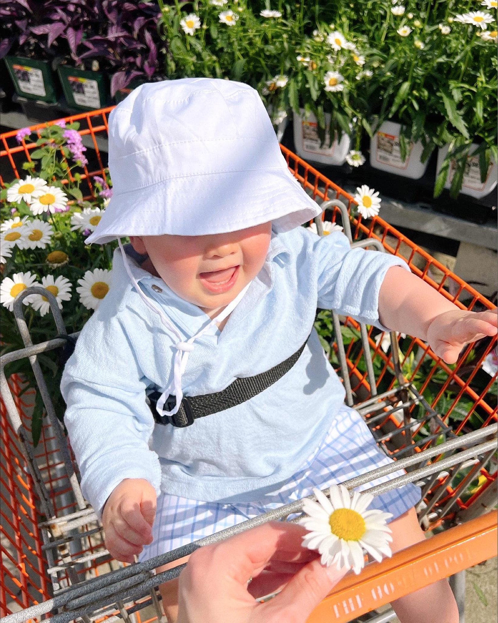 Cutest little baby boy shorts, rugby top, bucket hat, sandals 

#LTKFind #LTKfamily #LTKbaby