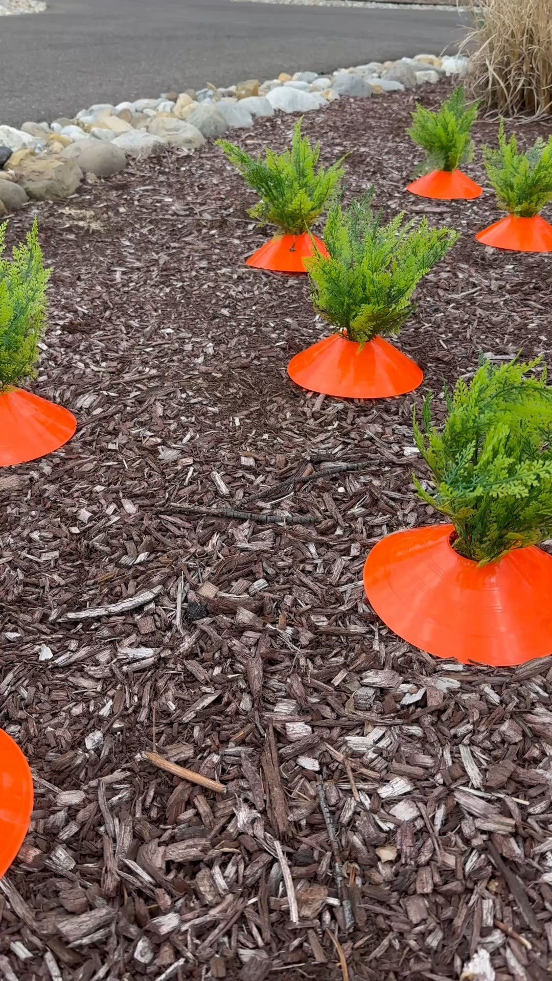 DIY carrot patch, Easter decor, Easter decor, yard decoration, garden decorations, spring decor, spring decorating, Easter decorations, home decor, home decorating, outdoor decorations 
#easterdecor #gardendecor #yarddecor #gardendecoration #springdecorating #homedecor #outsidedecor 

#LTKFindsUnder50 #LTKHome #LTKSeasonal