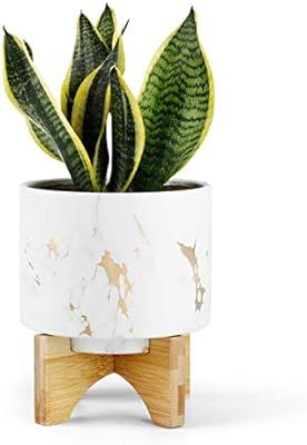 Greenaholics Medium Plant Pot - 5.5 Inch Cylinder White Marble Ceramic Planter with Arched Bamboo... | Amazon (US)