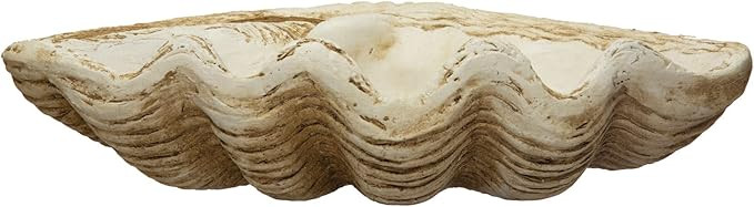Coastal Decorative Magnesia Clamshell, Natural | Amazon (US)