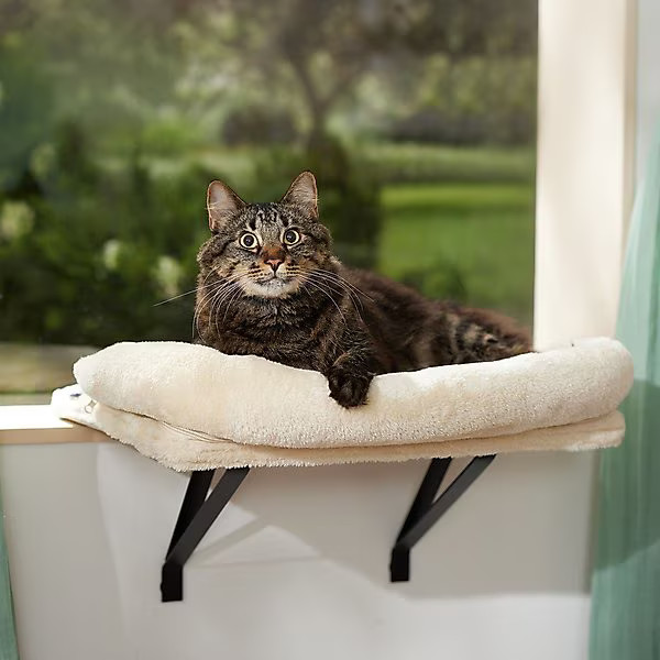 Frisco Plush Cat Window Perch with Removable Bolster | Chewy.com