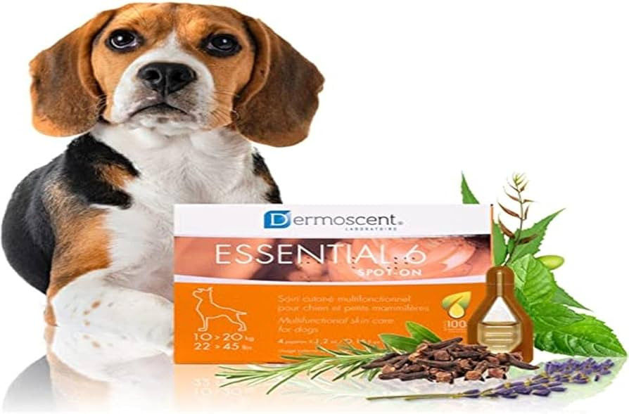 Essential 6 spot-on - Dog Skin Care for Dandruff & Allergy Relief with Vitamin E Oil - Anti Itch ... | Amazon (US)