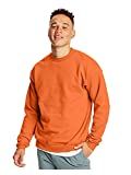 Hanes Men's Sweatshirt, EcoSmart Fleece Crewneck Sweatshirt, Cotton-Blend Fleece Sweatshirt, Plus... | Amazon (US)