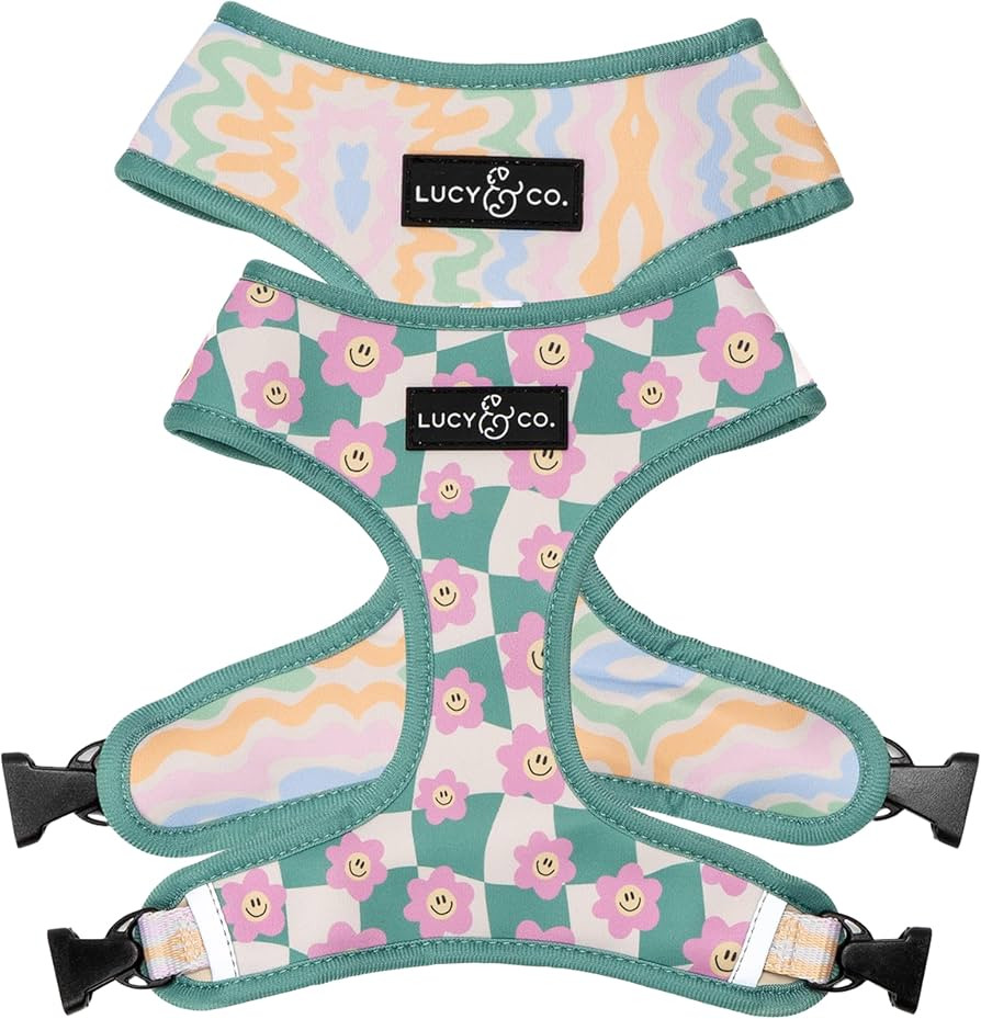 Lucy & Co. Cute Reversible Dog Harness Walking Halter - Best Designer Pet Harnesses for XS - XL D... | Amazon (US)