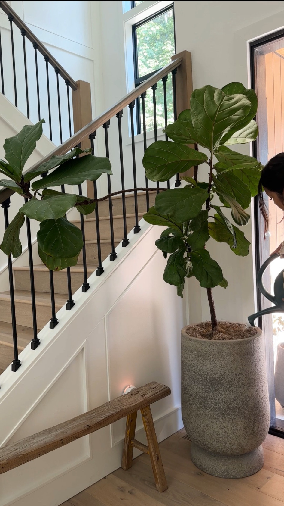 Entryway 

#LTKhome