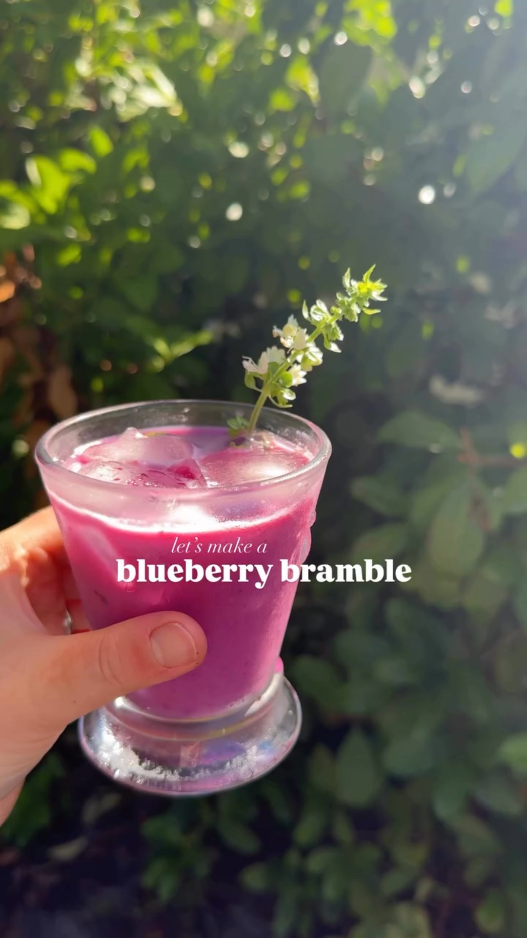 brambles: the perfect summer brunch cocktail🫐

This blueberry bramble is for the ones who love to spend a Sunday at a farmer’s market right before brunch🥂

Blueberry Bramble:

- 1 tbs blueberry jam
- 2 oz gin
- 3/4 oz elderflower liqueur 
- 1 oz lemon juice
- 1 tbs plain yogurt 

Add everything to a cocktail shaker and dry shake (no ice) to incorporate, about 10 to 15 seconds.

Add ice and shake again until well chilled and strain into a glass filled with ice. My basil gave off a few flowering blooms so I used that as my garnish.

I’ve been making brambles for years, and my favorite way to make them is to add a little bit of plain yogurt to give an extra creamy consistency!

Cheers Y’all,
Brooke xx 

#cocktails #cocktailrecipes #drinksdrinksdrinks #bramble #gin