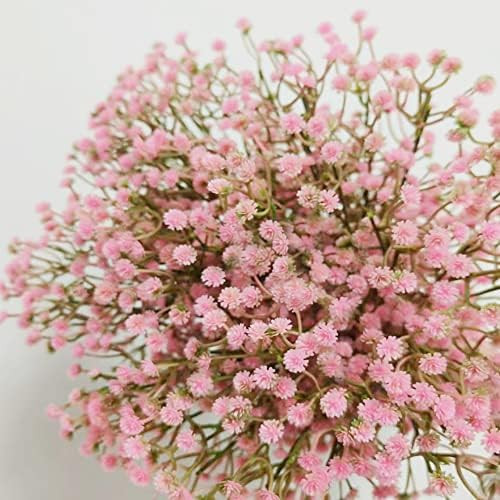 AMZALI 20 Pcs Artificial Baby Breath Flowers Fake Gypsophila Bouquets Fake Real Touch Flowers for... | Amazon (US)