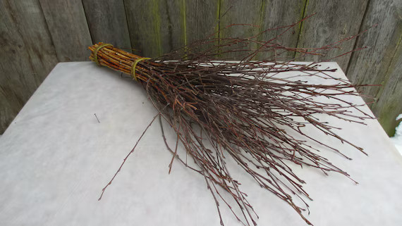 Birch Besom Birch Tree Branches Birch Twigs Bundle | Etsy | Etsy (US)