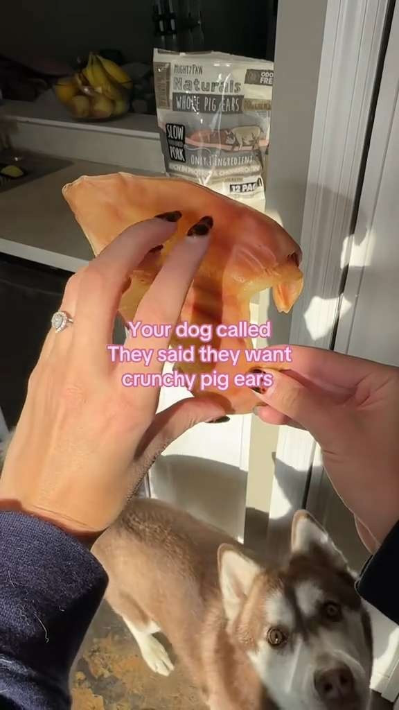 My husky LOVES these. They're good for her and keep her entertained 

 #LTKdayinmylife #LTKmorningroutine #LTKstorytime