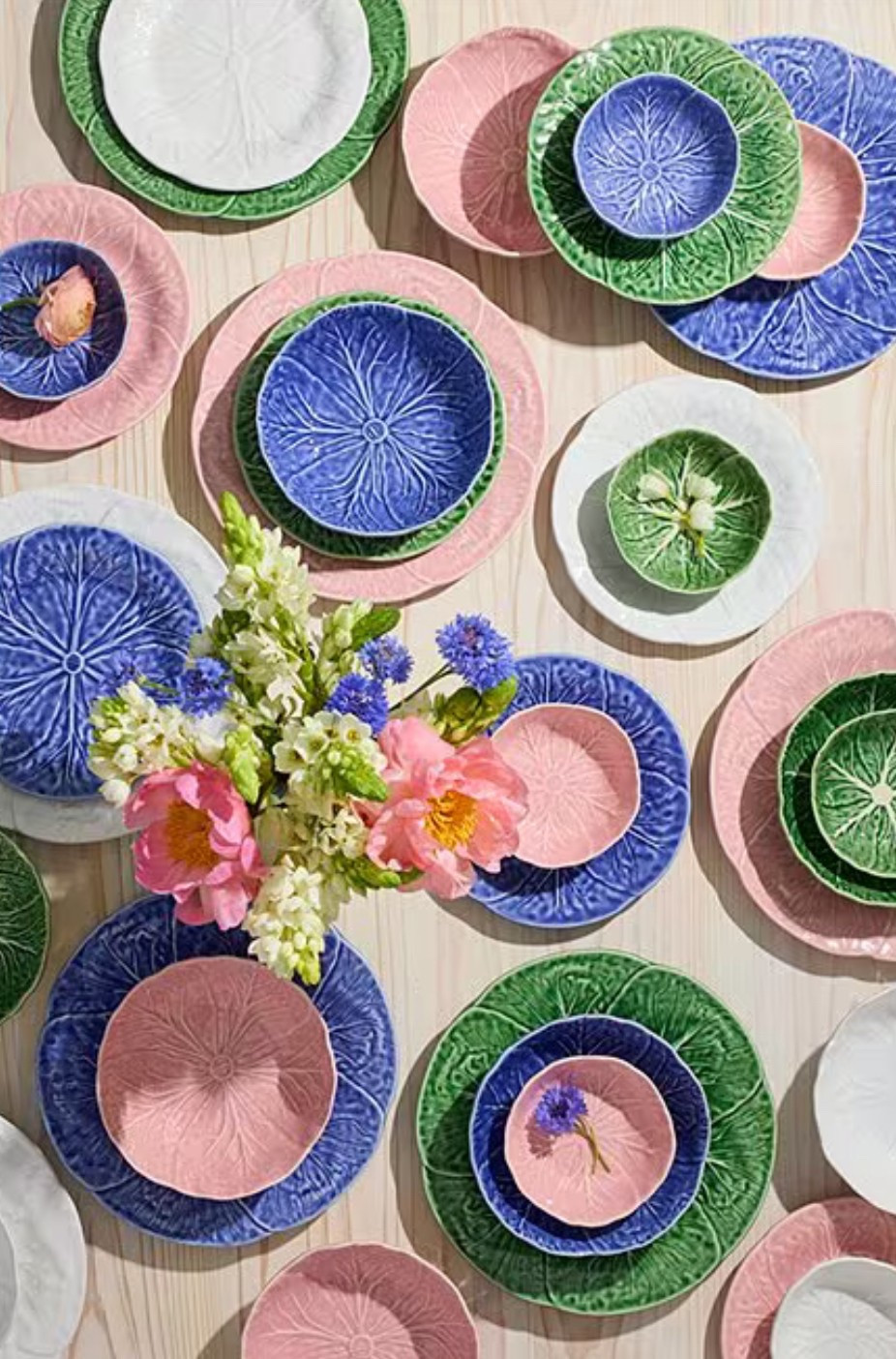 Cabbageware Everything at Dillards