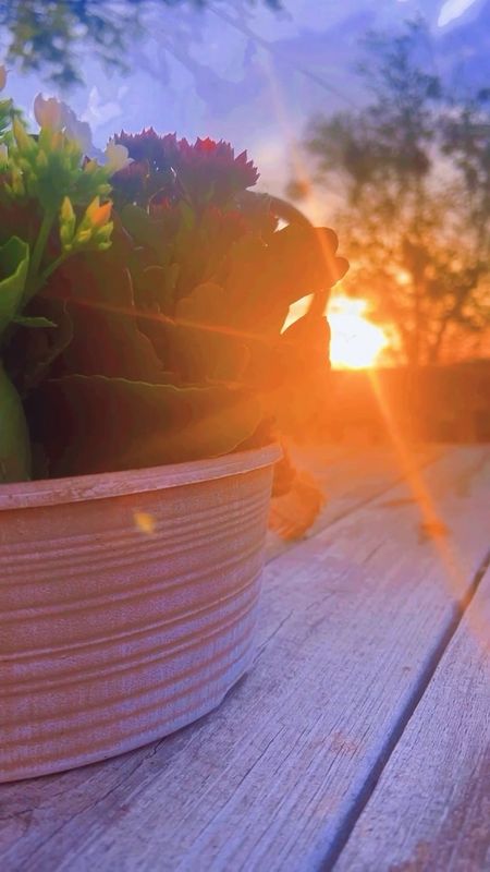 Judson is majorly sleeping in 😴 this morning and it’s been such a sweet morning soaking in God’s abundant goodness in this season and the most stunning sunrise from our deck! 🌄 loved getting to share our “nursery reveal” for Sweet Baby Levi Rhett’s nursery 🌾 (check out my latest post) - and our cousins are coming over to play this morning! Happy Tuesday everyone! ☀️🌿

#LTKhome