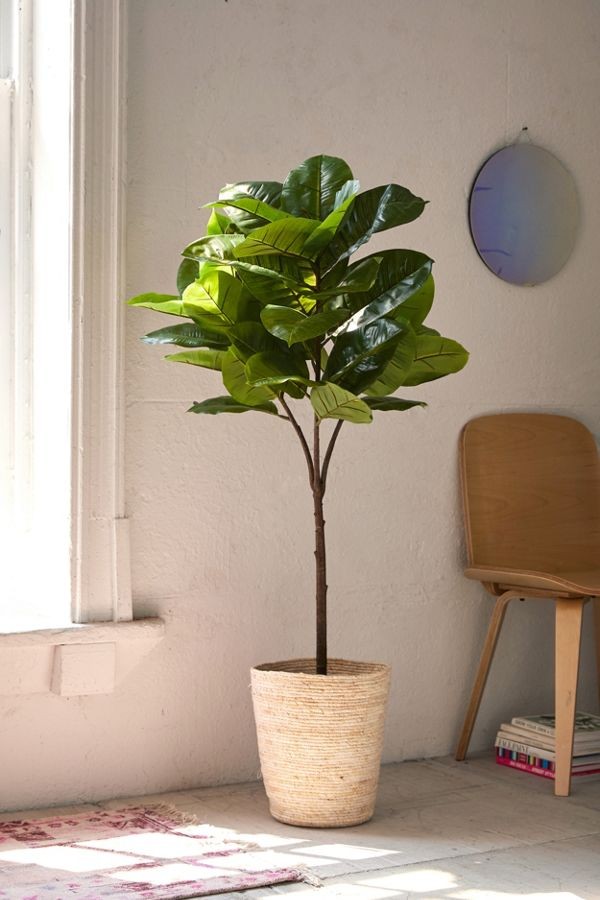 Potted Faux Rubber Tree | Urban Outfitters (US and RoW)