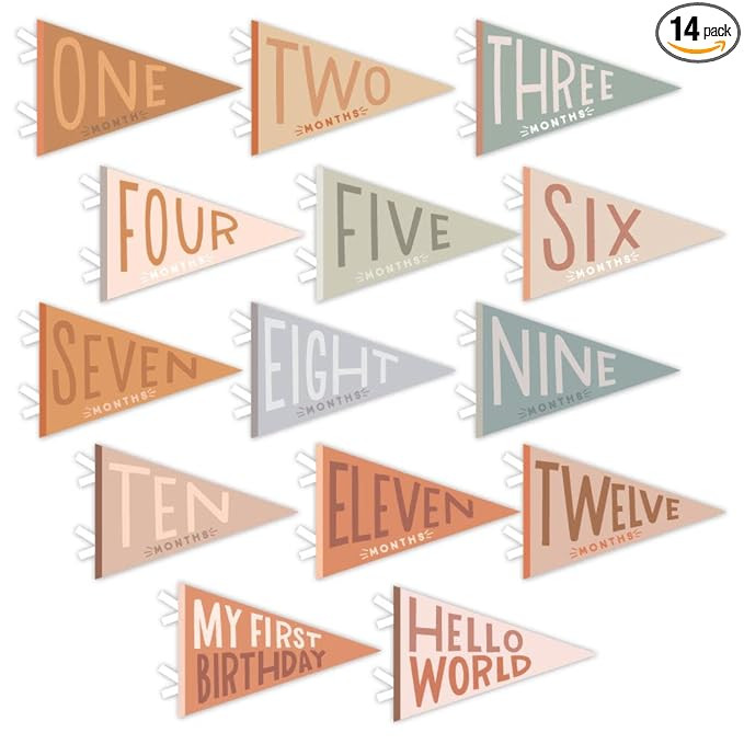 Lucy Darling Petit Milestone Pennants – Baby Monthly Milestone Pennant Flags – Newborn Photo ... | Amazon (US)