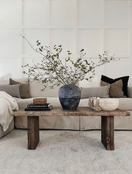 Neutral organic living room 
#livingroom #coffeetable #rusticdecor #vase #couch #sofa #shabbychic #amazonhome #throwpillow

#LTKGiftGuide #LTKstyletip #LTKhome