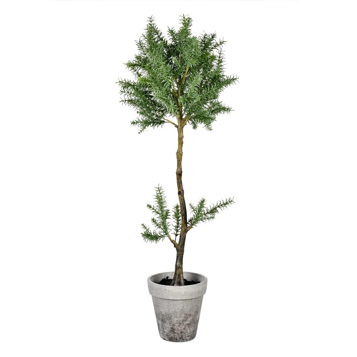 Primrue | Wayfair North America