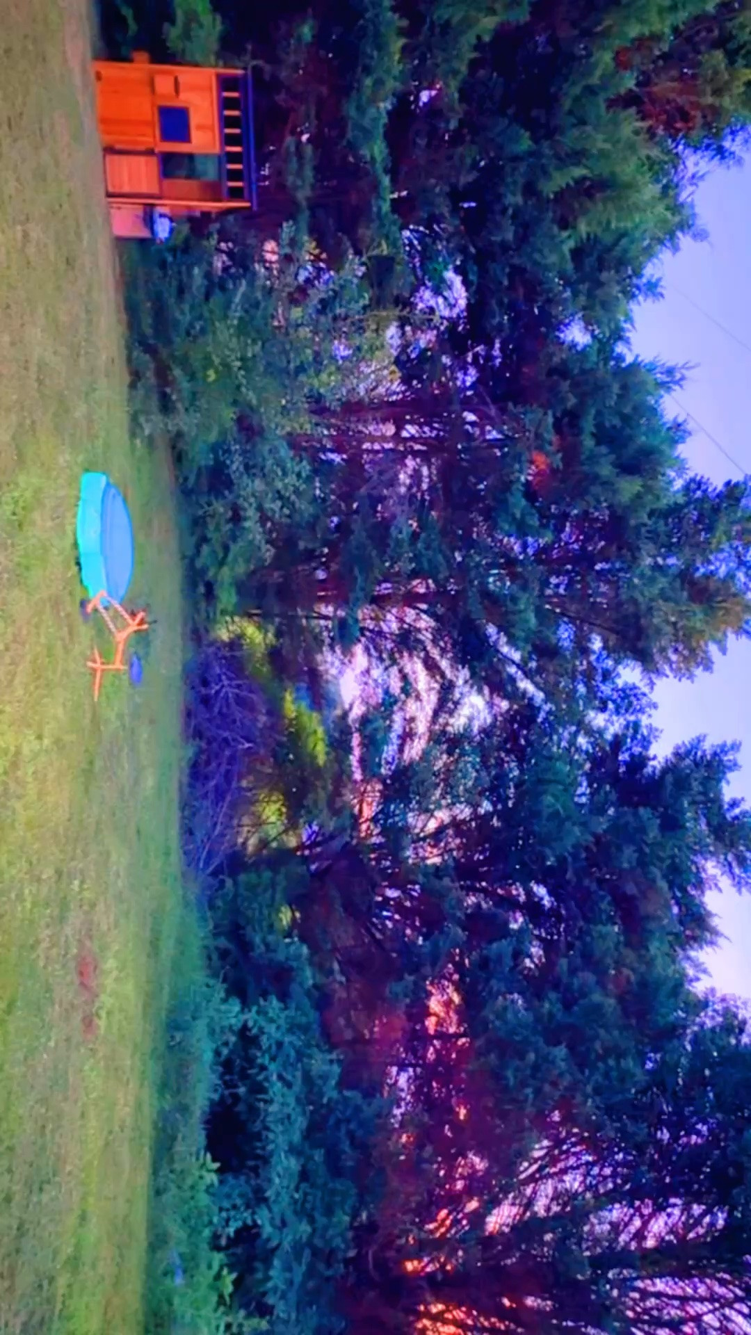 Also, to get ready for the new big wooden octagon sandbox coming in for the boys (so excited about it 😍), we did some rearranging and moved their cutie little playhouse (& old school turtle 🐢 sandbox 🪣 ) back behind the guesthouse in what they call our “forest” with these big dreamy cypress trees 🌲 (Judson calls them Christmas trees hehe 🤭) - and I love it!! It’s such a cozy little play area for them (& has a little pathway for them to explore, too 🤩) now on a different part of our farm besides the backyard!!! 🌾 And look at that sunset 🌅, too!! Oh how wonderful it is to have finally found our forever farm and home sweet home!! 🏡  The boys are going to be so excited to come play out here in the morning!! ☕️