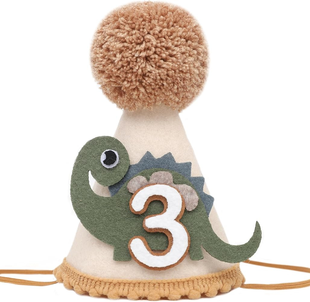 Dinosaur Birthday Hat - Third Dinosaur Birthday Party Decorations, Wild Dinosaur Cone Hat Photo P... | Amazon (US)