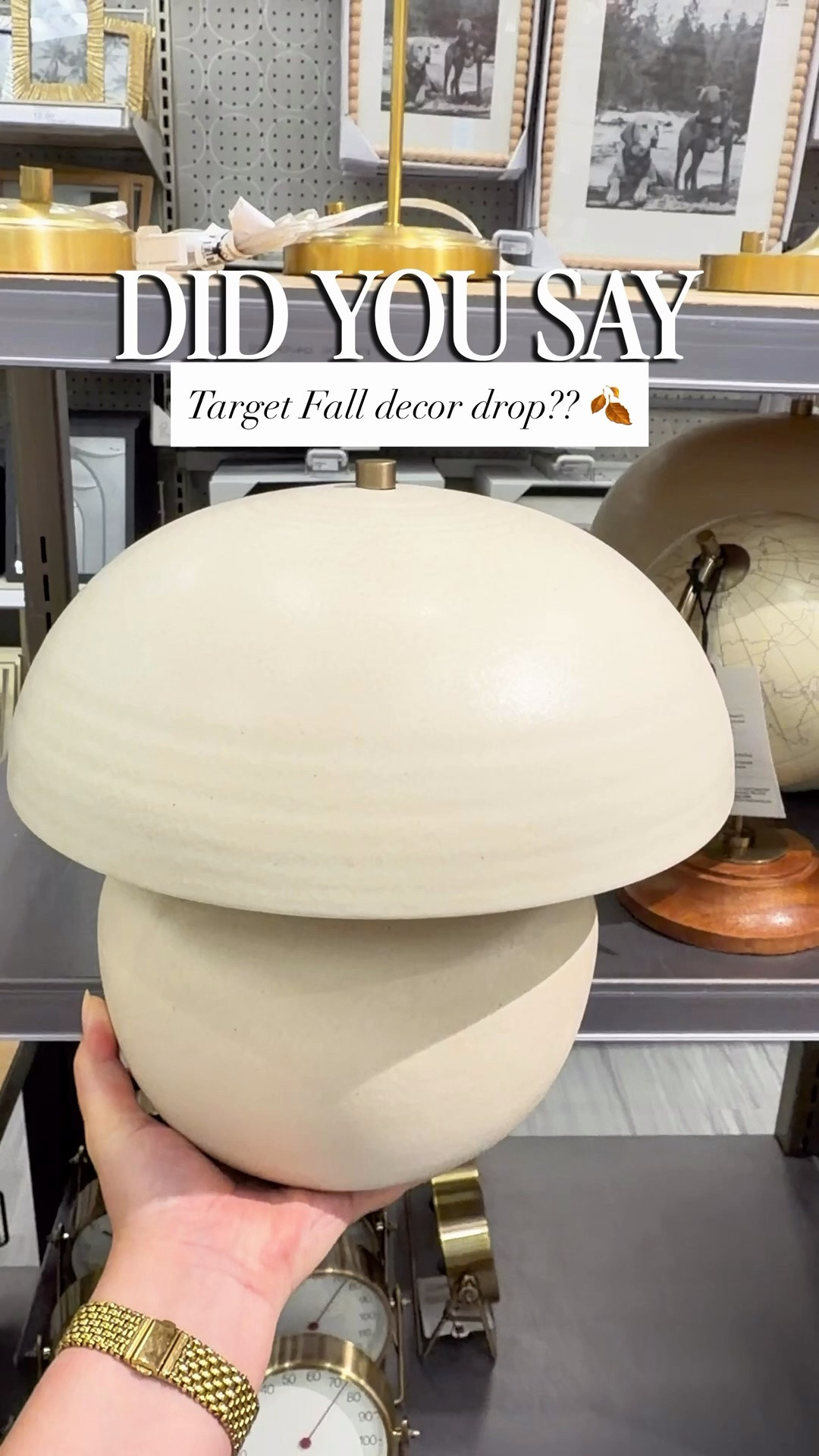 New fall decor at target!!

#LTKvlog #LTKSeasonal #LTKHome
