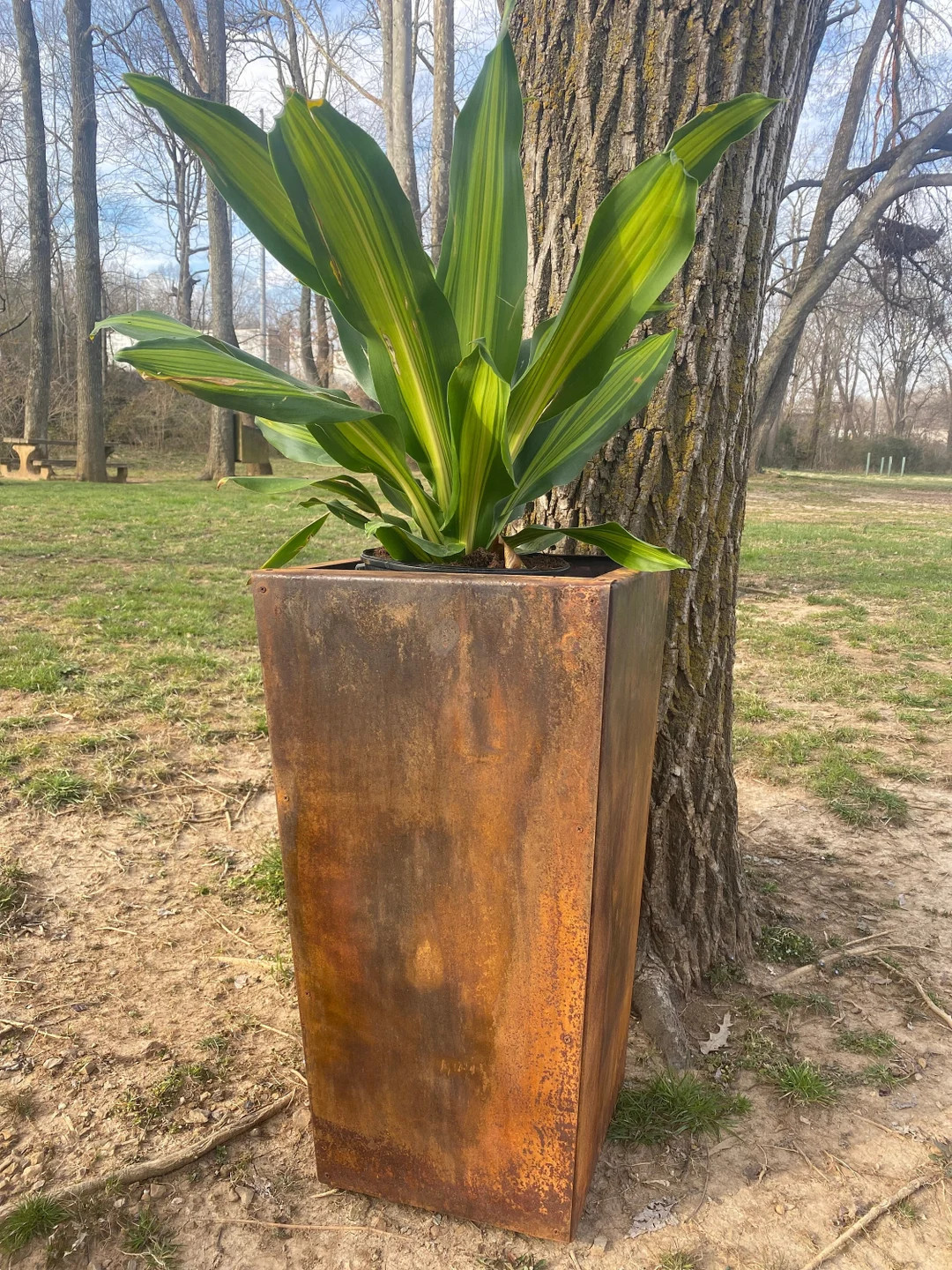 Pedestal Metal Planter 26 Tall Large Planter Front - Etsy | Etsy (US)