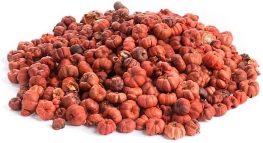 Factory Direct Craft Natural Dried Putka Pod Mini Pumpkins Fall Decorative Bowl Filler - Tiny Pum... | Amazon (US)