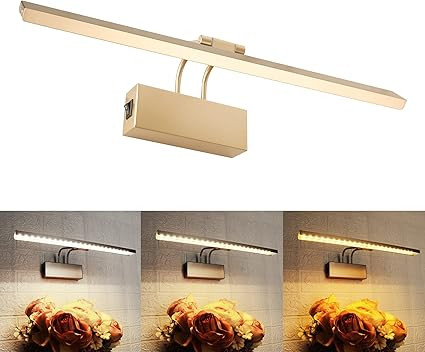 KIALUSH 900lm Dimmable LED Picture Lights Metal, 4 Mode Artwork Display Lighting Fixtures, 9W Pla... | Amazon (US)