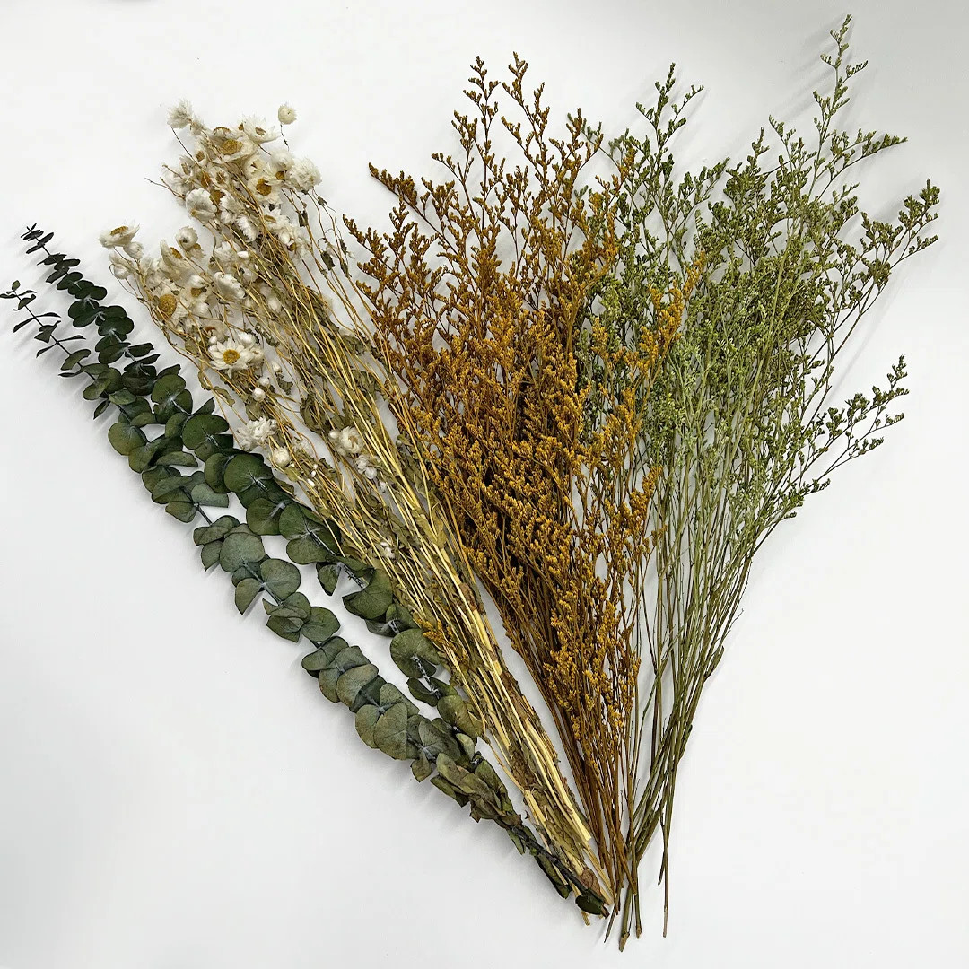 Real Preserved Mixed Bouquets Mix 6 Small - Med - Large | Wayfair North America