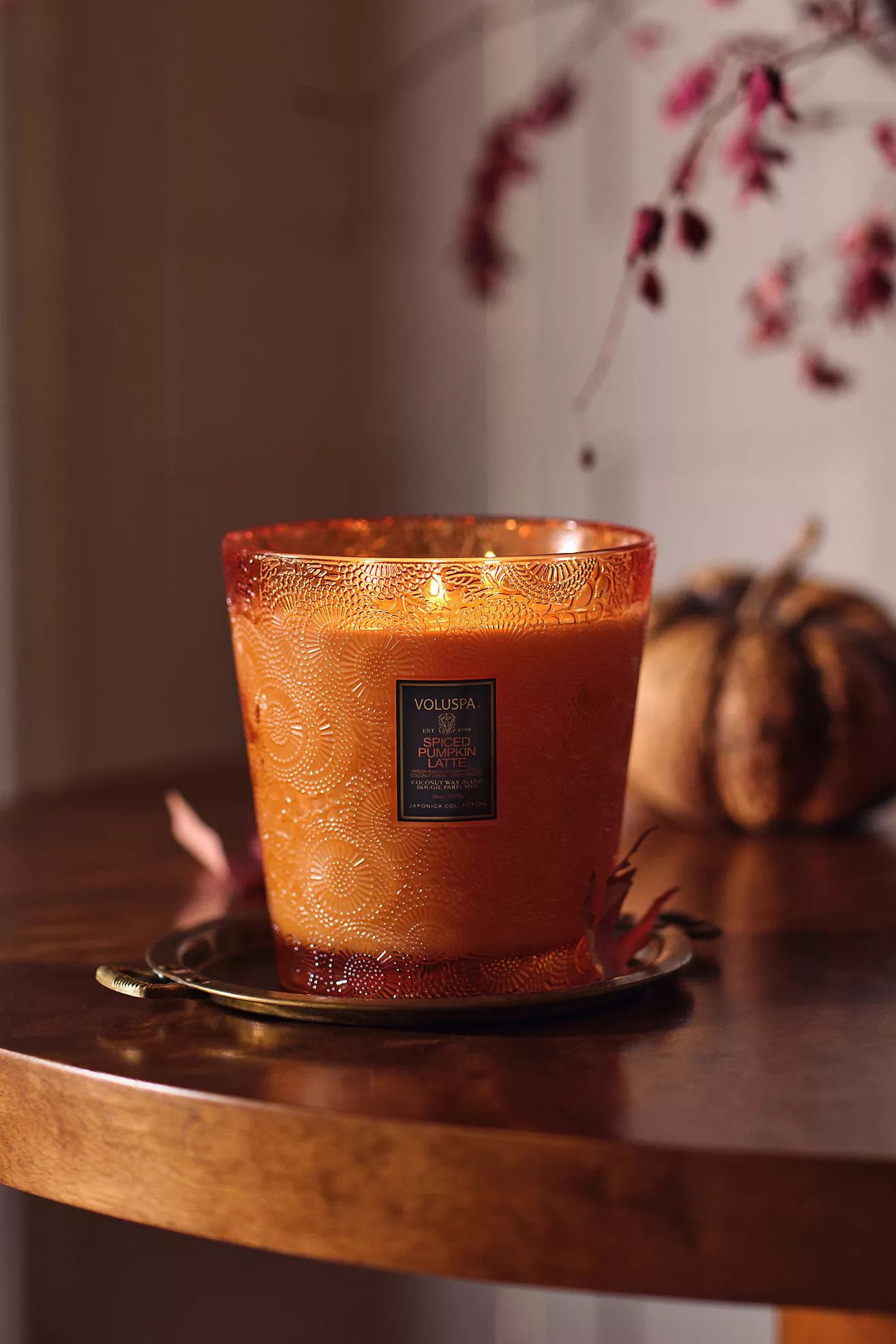 Voluspa Japonica Spiced Pumpkin Latte 5-Wick Hearth Glass Jar Candle | Anthropologie (US)
